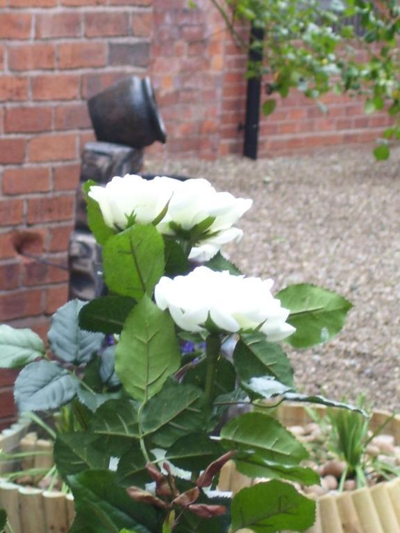 Fownes Hotel Worcester Rom bilde